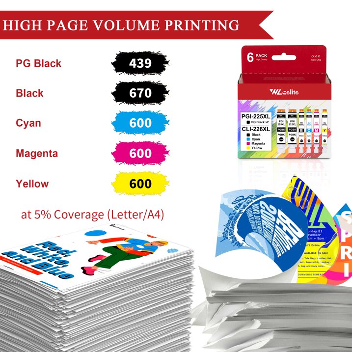 225 226 Ink Cartridges Replacement for Canon PGI-225 CLI-226 6 Pack Ink Cartridge for iX6520 MG5120 Printer（2*PGBK 1*BK 1*C 1*M 1*Y ）